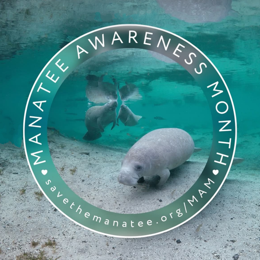 Manatee Awareness Month